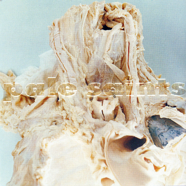 Pale Saints - In Ribbons